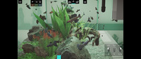 Aquarium Designer