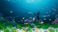 Aquarium Designer