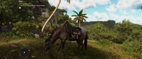 Far Cry 6