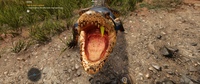 Far Cry 6