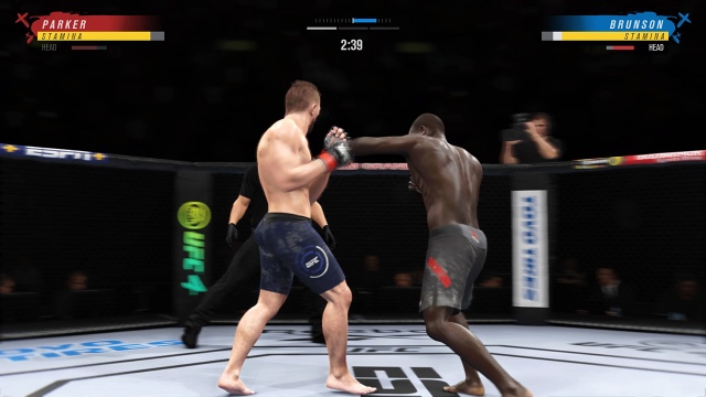 UFC 4