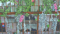 Cloud Gardens