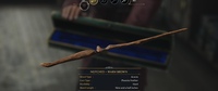 Hogwarts Legacy