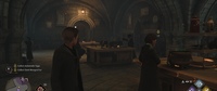 Hogwarts Legacy