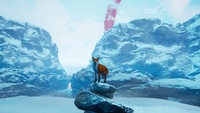 Spirit of the North