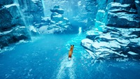 Spirit of the North