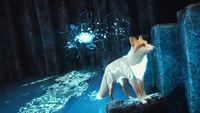 Spirit of the North