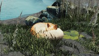 Spirit of the North