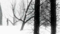 Into a Dream