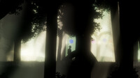 Into a Dream