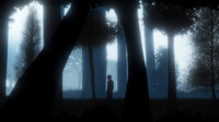 Into a Dream