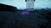 The Shore