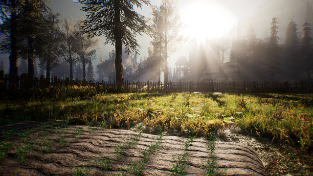 Medieval Farming Simulator