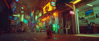 Stray