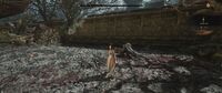 WUCHANG: Fallen Feathers