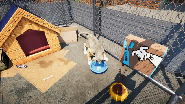 Animal Shelter