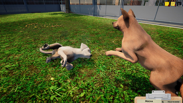 Animal Shelter