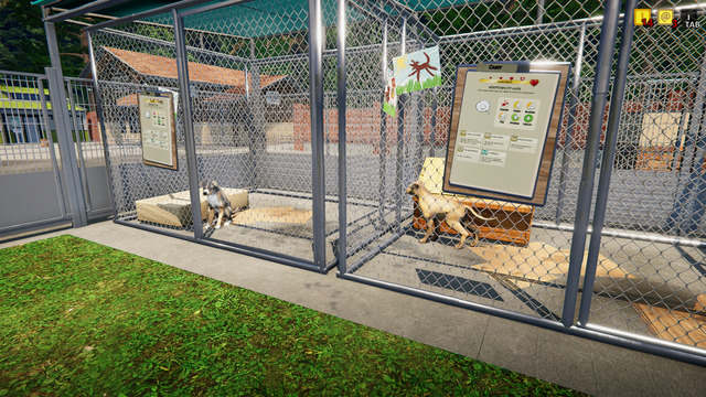 Animal Shelter