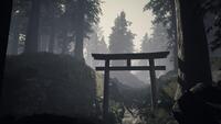 Ikai
