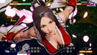 Fatal Fury: City of the Wolves