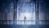 The First Descendant