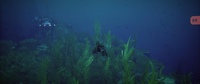 Under the Waves