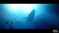 Under the Waves