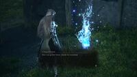 Valkyrie Elysium