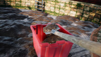 Pool Cleaning Simulator