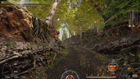 Forest Ranger Simulator