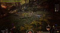 Forest Ranger Simulator
