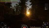 Forest Ranger Simulator