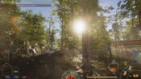 Forest Ranger Simulator