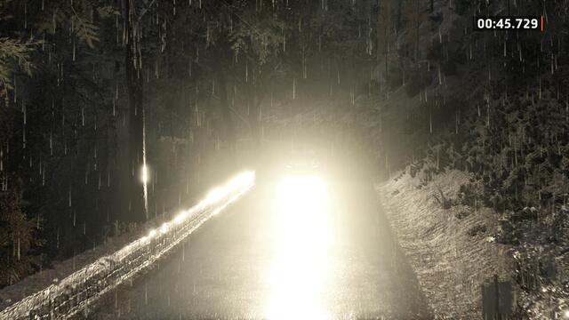 EA Sports WRC