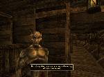 The Elder Scrolls III: Morrowind