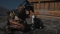 Assassin's Creed Shadows