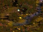 No Man's Land
