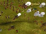 No Man's Land