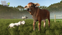 Farming Simulator 25