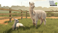 Farming Simulator 25