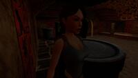 Tomb Raider IV-VI Remastered