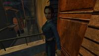 Tomb Raider IV-VI Remastered
