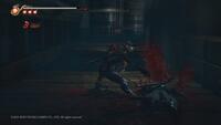 Ninja Gaiden 2 Black