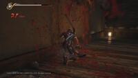 Ninja Gaiden 2 Black