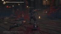 Ninja Gaiden 2 Black