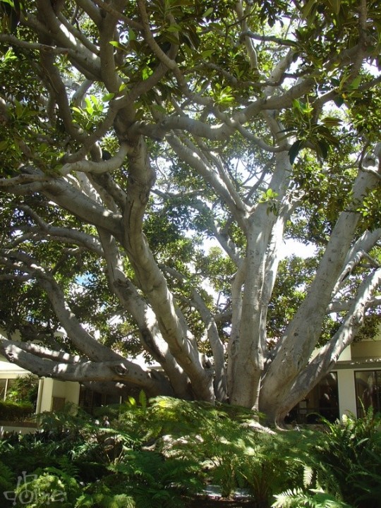 Fotók a Barker hangárból