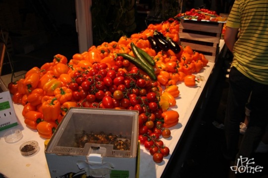 gamescom 2009 fotógaléria - 3. rész