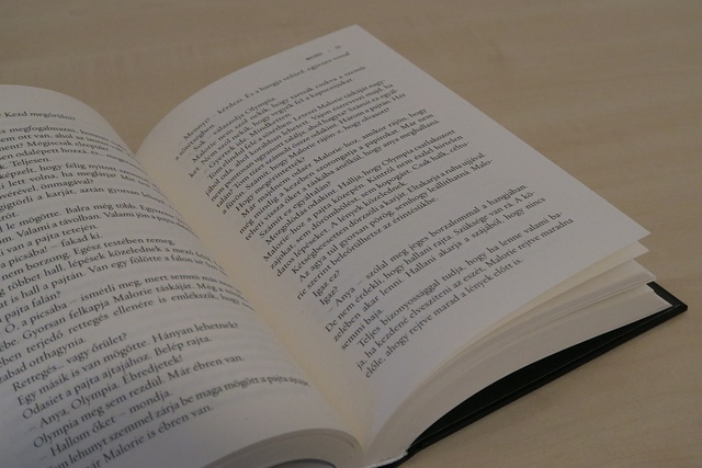 Josh Malerman: Malorie