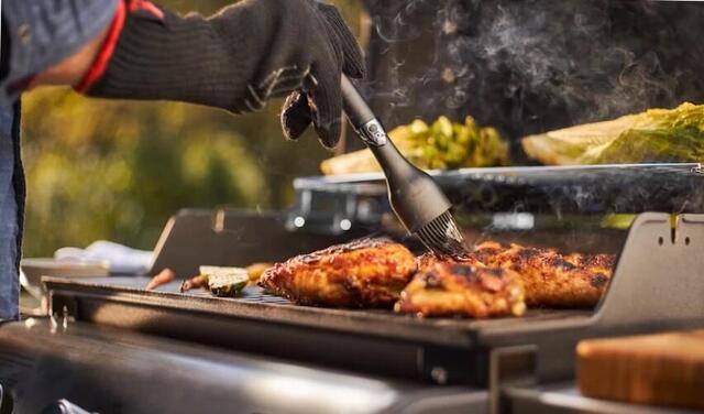 A tökéletes grillezés: otthoni praktikák és lehetőségek (x)
