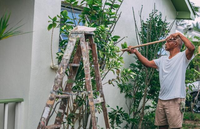 Mi alapján válasszunk lábazatfestéket? (x)